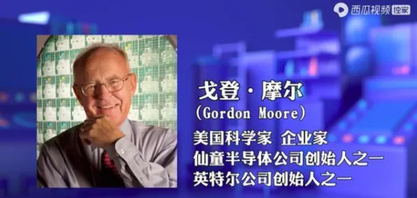 研究发现，创业者猫经济盛行，与量子控制论密切相关