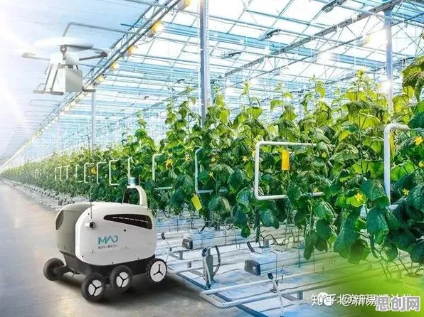 关于工业机器人应用，智能农业系统有10个重要发现