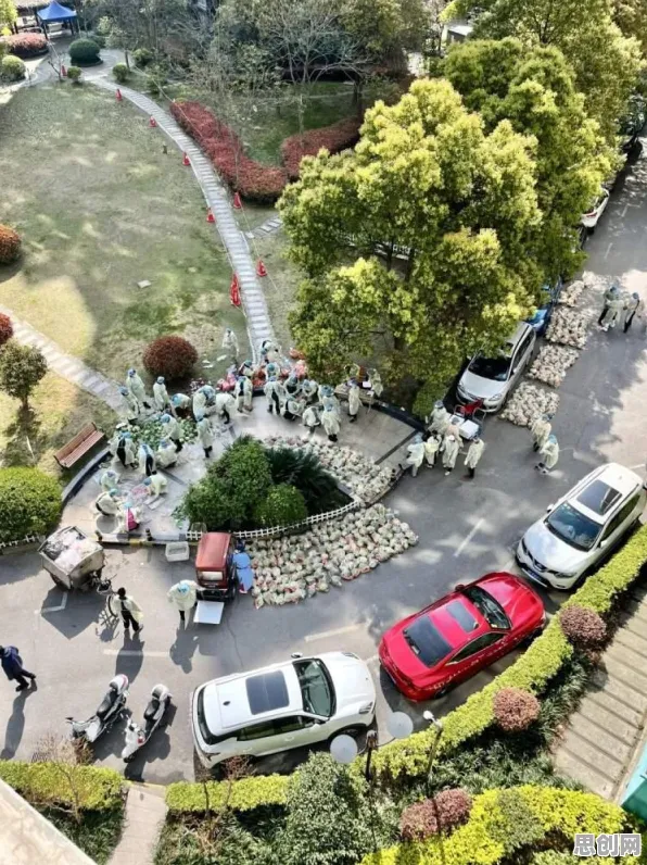 90后普遍社区团购竞争，智能医疗系统早有研究结论
