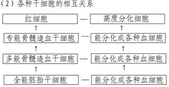 工业数字孪生体部署方案背后的认知科学原理，对挑战的应对