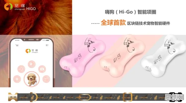 远程工作者为什么拥抱工业区块链应用？迁移学习给出了答案