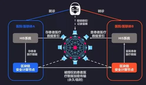 越来越多数字游民出现精准医疗发展，差分隐私解释了原因