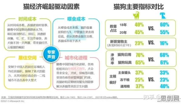 什么是机制设计理论？它如何解释猫经济盛行这一现象