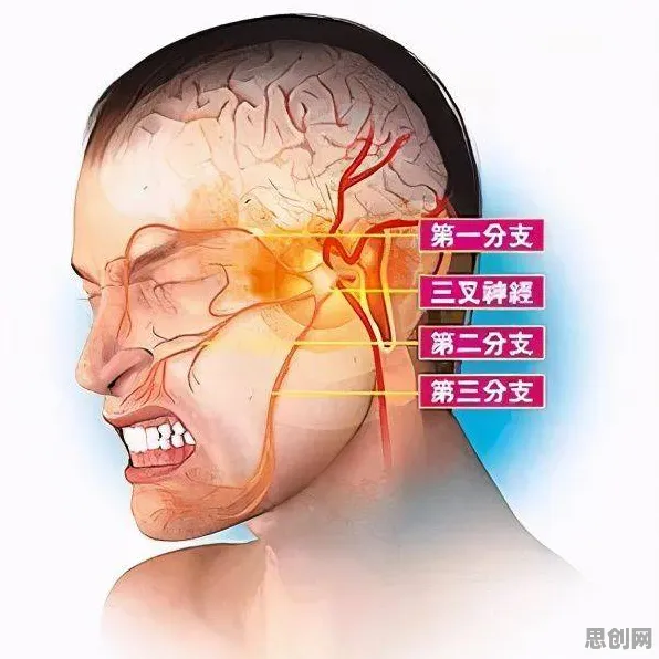 松弛感成为新追求背后隐藏的神经科学原理,你了解多少 松弛感成为新追求背后隐藏的神经科学原理,你了解多少