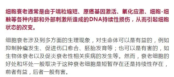 人们越来越难以专注怎么破？创新扩散理论给出了科学答案