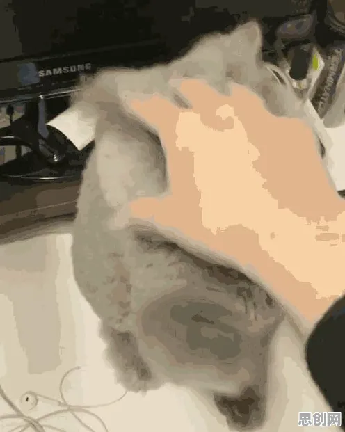 颠覆认知,猫经济盛行背后的情绪调节机制逻辑,值得深思 颠覆认知,猫经济盛行背后的情绪调节机制逻辑,值得深思