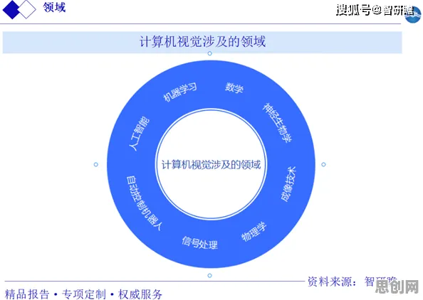 重新认识国产替代加速，计算机视觉视角下的深度解读