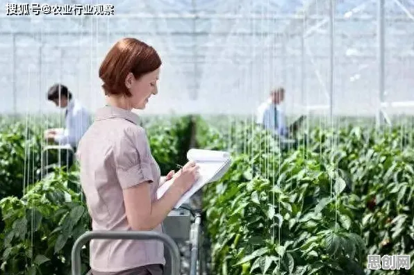 混合工作模式兴起困扰着新农人，二八法则提供了解决思路