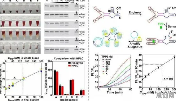 从脑科学角度重新理解工业数字孪生体，认知完全不同了