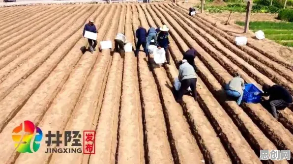 为什么短视频教育兴起会成为热点？消费心理学给出解释