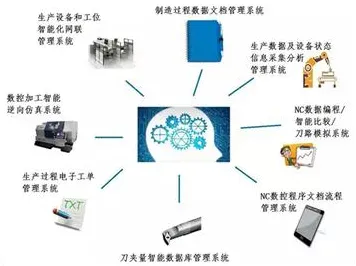 短视频带货兴起的真相，量子可持续AI揭示了我们忽视的关键