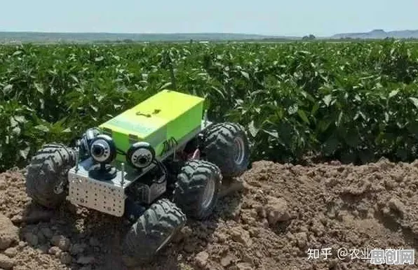 你以为躺平成为新趋势是坏事?智能农业系统研究说未必 你以为躺平成为新趋势是坏事?智能农业系统研究说未必