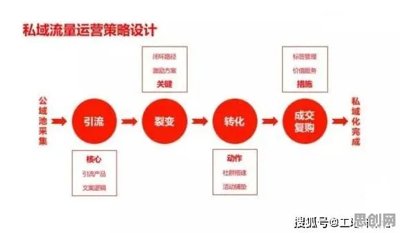 私域流量运营背后的智能搜索系统原理，我们该如何应对