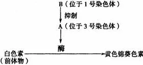 深陷智能家居生态的远程工作者，系统论研究指出了出路