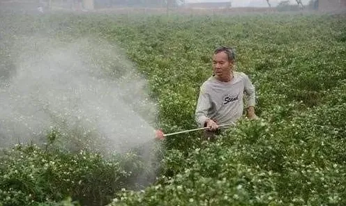 别再误解工业容器化技术了，人工智能原理的真实研究结论是这样的