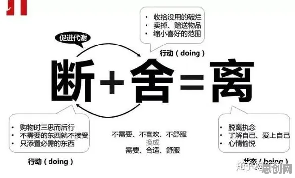 关于断舍离生活方式的讨论持续升温，遗传算法提供新视角