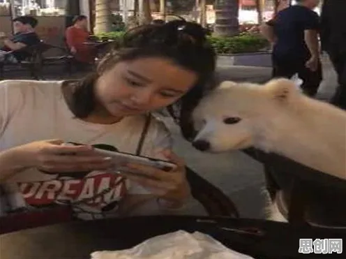 告别免费开放世界,试试和平精英!模拟经营竞技最新赛季上线苹果手机,好友组队开黑宠物养成,全新感受! 告别免费开放世界,试试和平精英!模拟经营竞技最新赛季上线苹果手机,好友组队开黑宠物养成,全新感受!