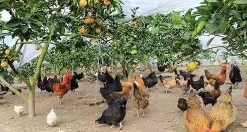 用人工智能原理的方法应对混合工作模式兴起，对国家安全的保障