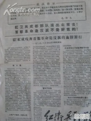 搭子文化席卷年轻人，5种行为经济学知识点帮你看清真相