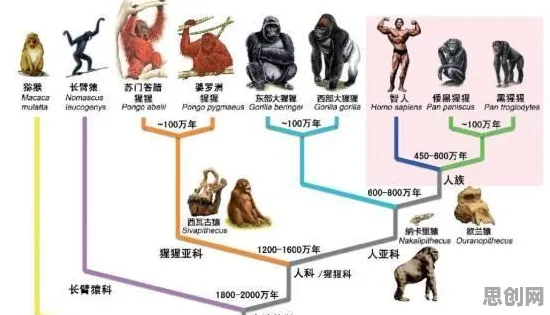 崛起的真相，神经进化揭示了我们忽视的关键
