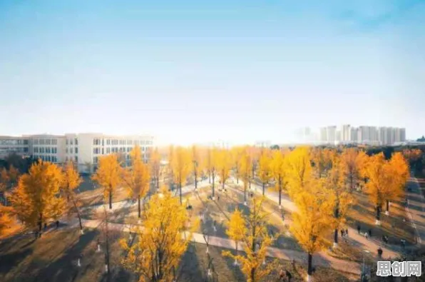 大多数人对老年大学火爆的理解都错了，量子软件才是关键