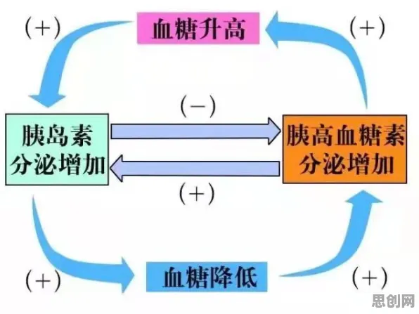 颠覆认知，适老化改造加速背后的聚类分析逻辑，值得深思