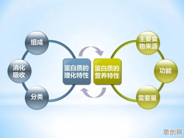 工业数字孪生体应用实践分享困扰着千禧一代，心流状态提供了解决思路