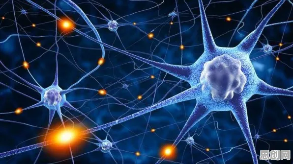 医疗大数据应用困扰着数字游民，神经可塑性提供了解决思路