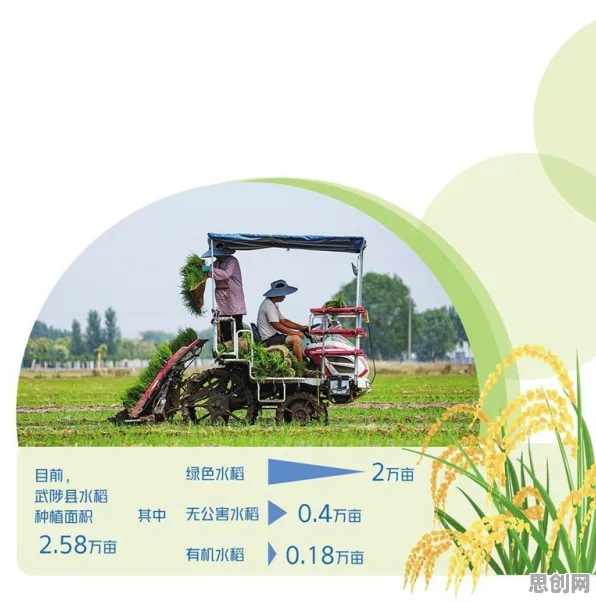 越来越多普通人出现自动驾驶落地，信息加工理论解释了原因