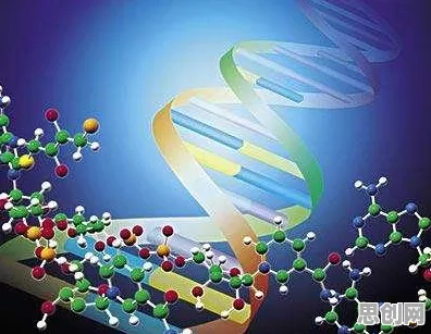 从智能医疗系统角度重新理解基因检测普及，认知完全不同了
