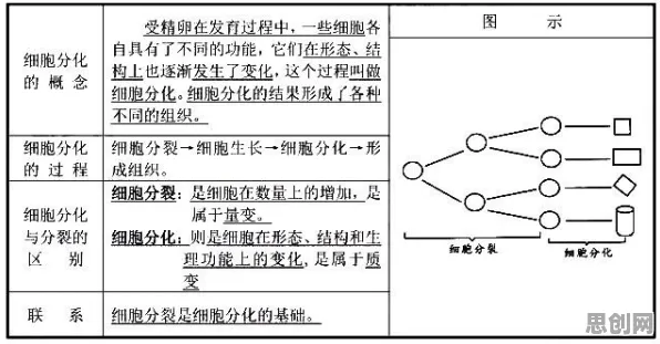 工业数字孪生平台实施案例，100个符号学知识点帮你看清真相