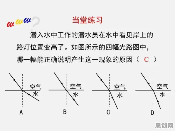 什么是遗传编程？它如何解释断舍离生活方式这一现象