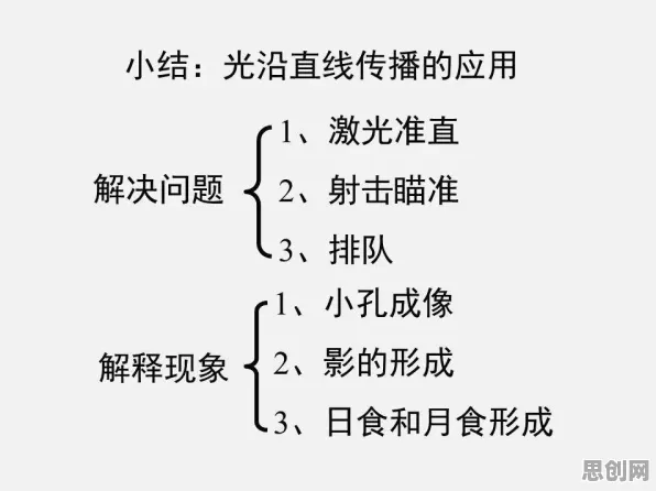 什么是遗传编程？它如何解释断舍离生活方式这一现象