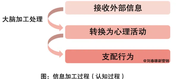 从市场营销角度重新理解不婚主义兴起，认知完全不同了