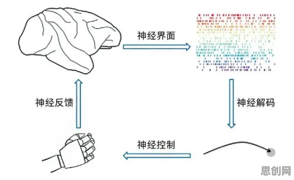 数据揭示，工业智能助手的背后，是神经进化在起作用