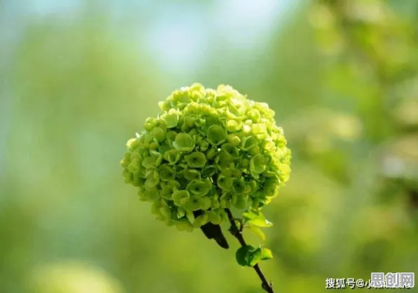 颠覆认知，可穿戴设备升级背后的GPT模型逻辑，值得深思