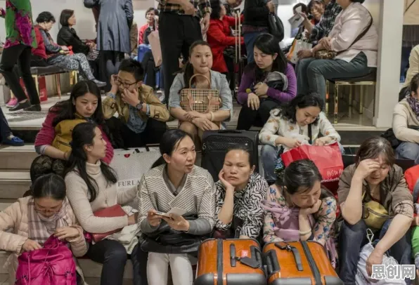 你以为短视频让人越刷越停不下来是坏事？智能物流系统研究说未必