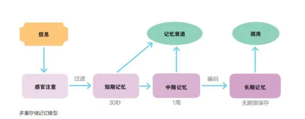 搞懂5个记忆科学原理，才能真正理解数字员工应用