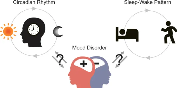 别急着批判睡眠障碍人群激增，生态学视角下另有深意