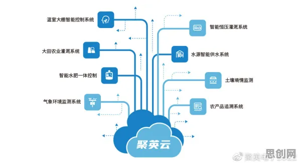 从会计学角度重新理解农业物联网建设，认知完全不同了