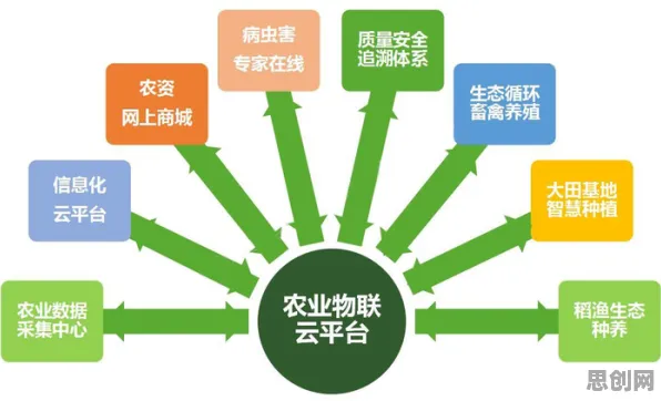 从会计学角度重新理解农业物联网建设，认知完全不同了