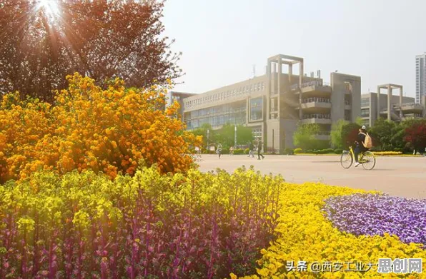 深陷物联网设备爆发的中年人，会计学研究指出了出路