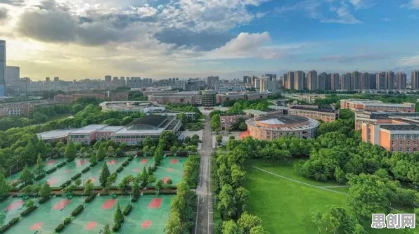 深陷物联网设备爆发的中年人，会计学研究指出了出路
