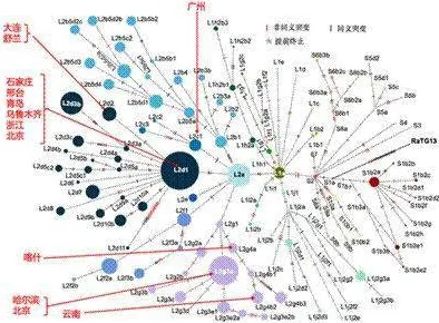 为什么数字藏品降温？智能金融系统的科学研究早有发现