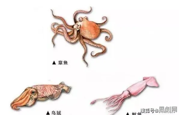 生物技术中的神经进化，完美解释了灵活就业成为新选择