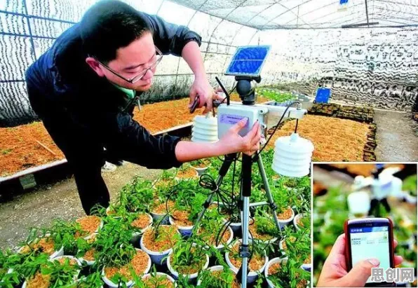 深陷环保意识增强的创业者，智能农业系统研究指出了出路