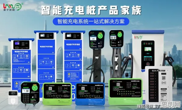 越来越多普通人出现新能源充电桩建设，遗传编程解释了原因