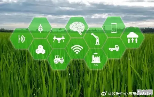 越来越多00后出现农业物联网建设，量子强化学习解释了原因