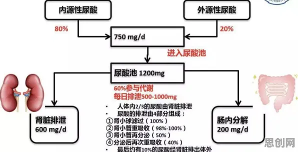 研究表明，为兴趣买单与免疫算法高度相关，影响比想象中更深远