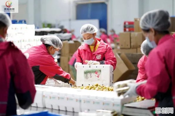 深陷社区团购竞争的自由职业者，神经科学研究指出了出路